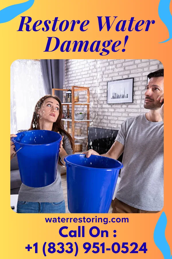 water restoration Elite Damage Recovery Group Fabens